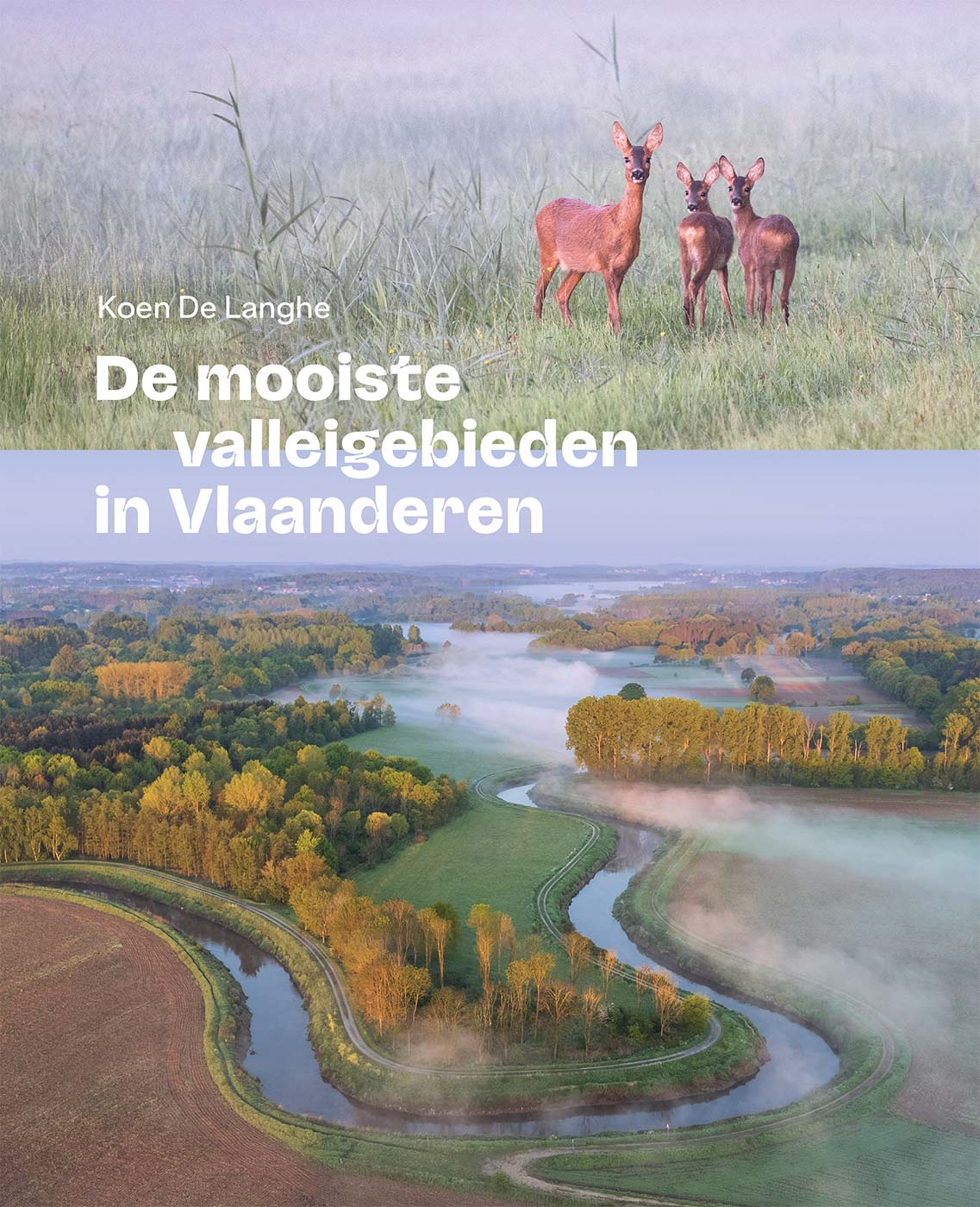 cover van De Mooiste Valleigebieden in Vlaanderen