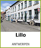 Lillo