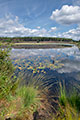 Natuurgebied De Teut