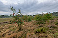 Natuurgebied De Teut