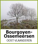 Bourgoyen-Ossemeersen