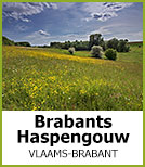 Brabants Haspengouw