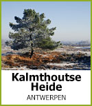 Kalmthoutse Heide