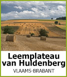Leemplateau van Huldenberg & Bertem